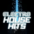 Electro House DJ - Rolling Summer