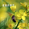 许忆琳 - 累了