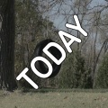 Today - Tribute to Smashing Pumpkins