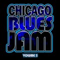 Chicago Blues Jam - Messin With The Km