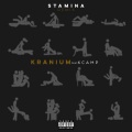 Stamina (Remix)