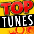 群星、Todays Hits、Top 40 DJ's、Top 40 - One Last Time