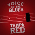Voice of the Blues