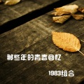 龙飞龙泽1983组合 - 伤心地铁