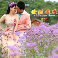 李红 - 爱到最后