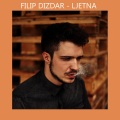 Filip Dizdar - Ljetna