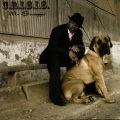 Crisis - Lsk City