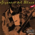 Elmore James - I Done Somebody Wrong