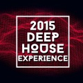 Electro House DJ - Cold Turkey