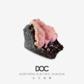 DOC - Metropolitan Viewer 都市观察者