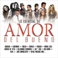 Various Artists - Ya Te Olvidé