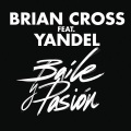 Brian Cross、Yandel - Baile y Pasión