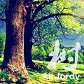 AirJordy - 树