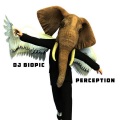 DJ Biopic - Perception