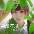 婳诗诗、冼宇超 - 再见，不见