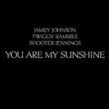 Jamey Johnson、shooter jennings、Twiggy Ramirez - You Are My Sunshine