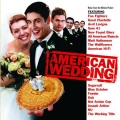 The Wallflowers - Into The Mystic