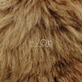 Ash、HVOB - Lion