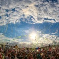 The WAV.s、Dimitri Vegas & Like Mike - Tomorrow Changed Today