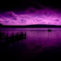 Purple Rain