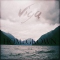 Viga、Haux - Homegrown (Viga Remix)