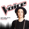 Taylor John Williams - Heartless
