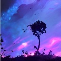 Illusion
