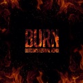 Burn (Dotcom's Festival Remix)