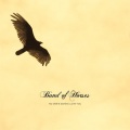 Band of Horses - Am I A Good Man