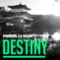 Manuel Le Saux - Ryse (Radio Edit)