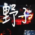 帅翰超 - 野子