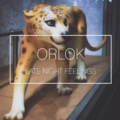 Orlok - You Inspire Me