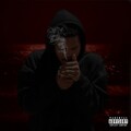 Xavier Wulf - Armor Woe