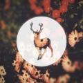 Wild Culture - Oh Lord