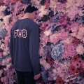 PO8 - 派大星