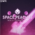 Wisp X、Thomas Hood - Space Peaches