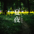 四季音色 - 夏夜