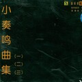 孔祥东 - Vivace