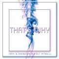 tera、DDei、Estate、Pitbull - That's Why