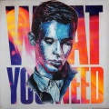 ANDRAViDA、Flume - What You Need (ANDRAViDA Remix)