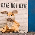 Dave Not Dave - Cold Blood