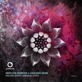 Need For Mirrors - Willow Grain