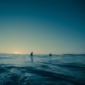 Shinobi - sinking