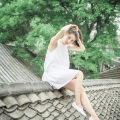 南城Chromatic - 爱尔兰画眉