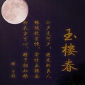 聂予词 - 赠予词-玉楼春