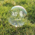 肖斯塔 - 初夏