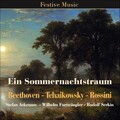 Berliner Philharmoniker、ferenc fricsay - Andante maestoso. Allegro vivace