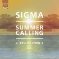 Summer Calling (Tantrum Desire Remix)