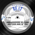 Ambassadors Of Funk - Ambassadors Megamix