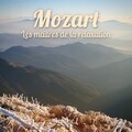 Slovak Radio New Philharmonic Orchestra、Shardad Rohani - Concerto pour clarinette en la majeur, KV 622: II. Adagio